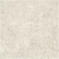 Gạch Monalisa FDS100392M 600x600