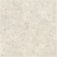 Gạch Monalisa FDS100392M 600x600