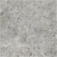 Gạch Monalisa FDS100393M 600x600