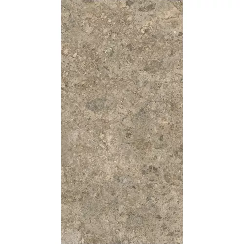 Gạch Monalisa FDS100394M 600x1200