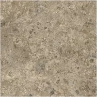 Gạch Monalisa FDS100394M 600x600
