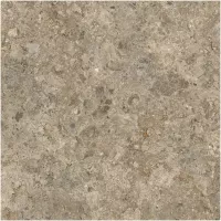 Gạch Monalisa FDS100394M 600x600