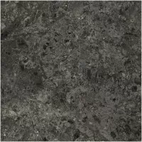 Gạch Monalisa FDS100395M 600x600