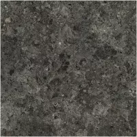 Gạch Monalisa FDS100395M 600x600