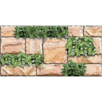 Gạch Prime 01.250500.09115