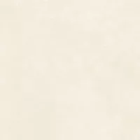 Gạch Prime 03.100100.21311