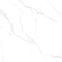 Gạch Prime 03.100100.21315