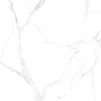 Gạch Prime 03.100100.21315