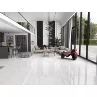 Gạch Prime 03.100100.21315
