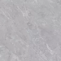 Gạch Prime 03.100100.21317