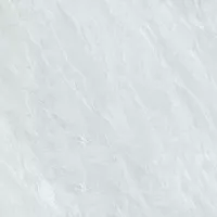 Gạch Prime 03.100100.92005