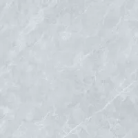 Gạch Prime 03.100100.92006