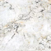 Gạch Prime 03.100100.92500