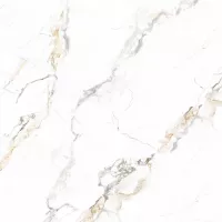 Gạch Prime 03.100100.92501