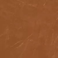 Gạch Prime 03.100100.92508