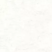 Gạch Prime 03.120120.70000