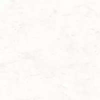 Gạch Prime 03.120120.70000