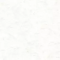 Gạch Prime 03.120120.70000