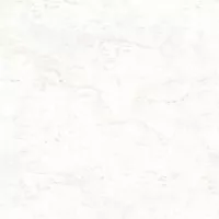 Gạch Prime 03.120120.70000