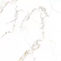 Gạch Prime 03.120120.70004