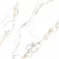 Gạch Prime 03.120120.70004