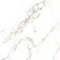 Gạch Prime 03.120120.70004