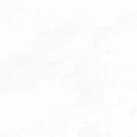 Gạch Prime 03.120120.70013