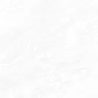 Gạch Prime 03.120120.70013