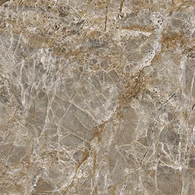 Gạch Prime 03.300300.09337