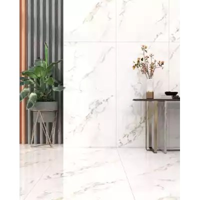 Gạch Prime 03.800160.80004