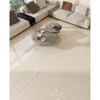 Gạch Prime 03.800160.80006