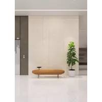 Gạch Prime 03.800160.80006