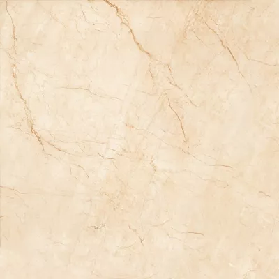 Gạch Prime 03.800800.08806