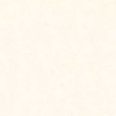 Gạch Prime 03.800800.08902