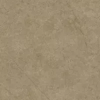 Gạch Prime 06.400400.08209