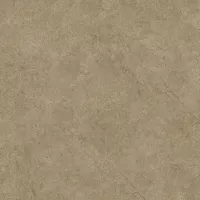 Gạch Prime 06.400400.08209