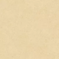 Gạch Prime 06.400400.08221