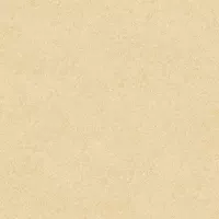 Gạch Prime 06.400400.08221