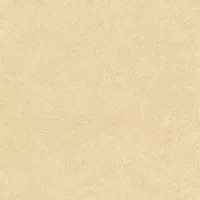 Gạch Prime 06.400400.08221