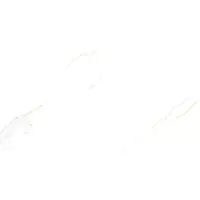 Gạch Prime 14.300600.22071