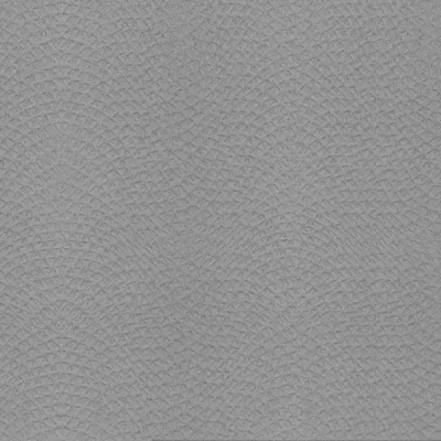 Gạch Taicera G38248