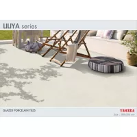 Gạch Taicera G3825M3