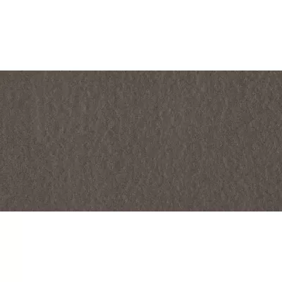 Gạch Taicera G63521