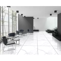 Gạch Taicera G63945