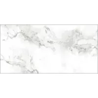 Gạch Taicera G63953