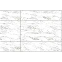 Gạch Taicera G63953