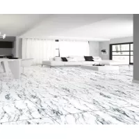 Gạch Taicera G63957