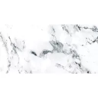 Gạch Taicera G63957