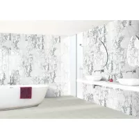 Gạch Taicera G63965