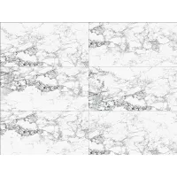 Gạch Taicera G63965